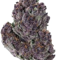 Granddaddy Purple (exotic)