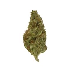 Cheech's Stash - Wass Sappening -