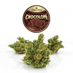 Chocolope | Sativa