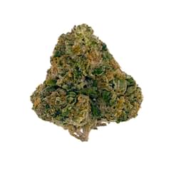 Connected - Gushers -