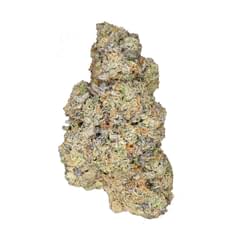 Cream of The Crop - Hybrid - Cookies n Kush - 1g Flower