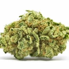 Snoop’s Dream (PREMIUM)