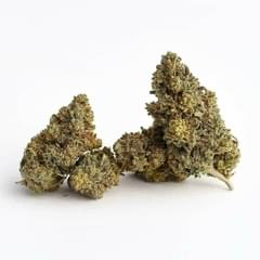 Super glue (top shelf)