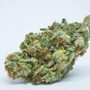 Orange Bud (PREMIUM)