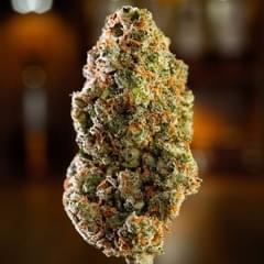 ANGEL CAKE - TOP SHELF
