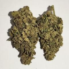 Cherry Lion - A+ Topshelf