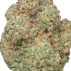 CAP JUNKY (SUPER DESIGNER)