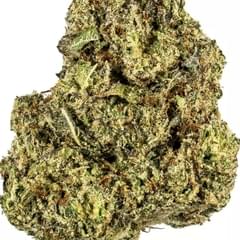 Sherblato (TOP SHELF)