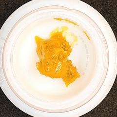 Dabble Fatso Bx1 Wax (i/h)