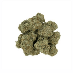 Cinderella 99 (Premium)