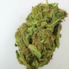 PLATINUM OG - 5 GRAMS