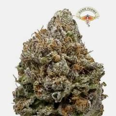 SLURPIE CAKE (DESIGNER)