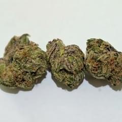 Midnight Snack - Exotic Smalls