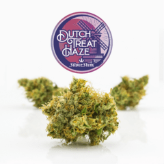 Dutch Treat Haze | Sativa