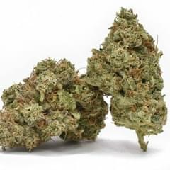 STRAWBERRY COUGH (S)