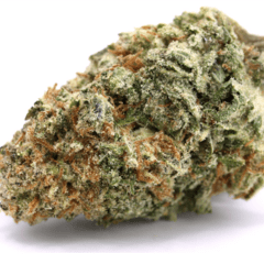 Sunset Sherbert (Indica)