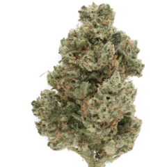 Ghost Train Haze (Sativa)