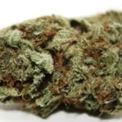 Blue Ether (Designer)