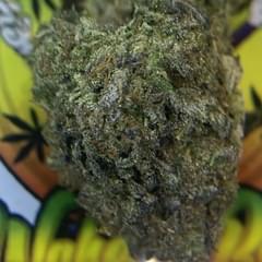 PREMIUM- GEORGIA PIE