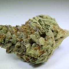 PARIS XXX OG - 5 GRAMS