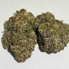 Blueberry Gumbo - A+ Exotic