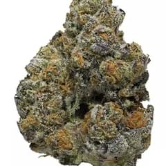 Monster cookie INDOOR