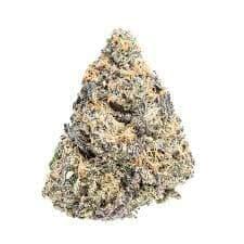 White OG (WI-FI OG) TOPSHELF