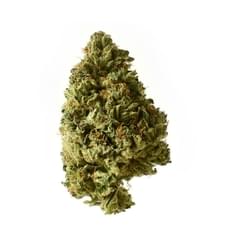 Chocolate Chunk (Top Shelf)