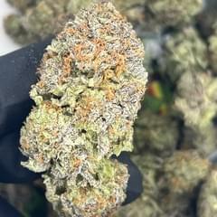 EXOTIC- DIRTY SPRITE