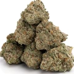 Jack Herer (exotic)