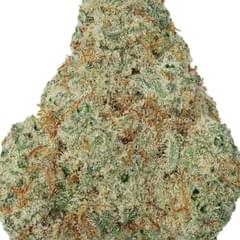 AMNESIA HAZE (TOPSHELF)