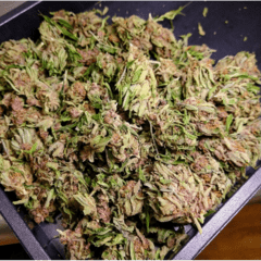 Fruity Pebbles Prepack