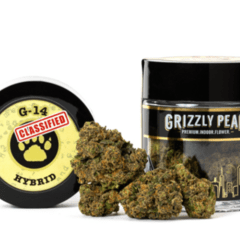 G-14 CLASSIFIED (3.5G) [H]