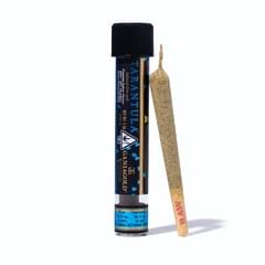 Ganja Gold - Guerilla Breath Blue Tarantula
