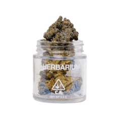 GASFACE OG (3.5G) [I]