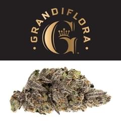 Grandiflora | Loma Prieta premium indoor flower 3.5g | 20.07% THC