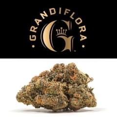Grandiflora | Melonatta premium indoor flower 3.5g | 24.56% THC