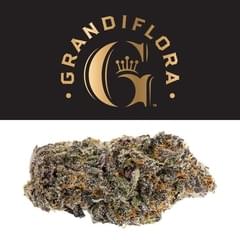 Grandiflora | Ya Hemi premium indoor flower 3.5g | 20.66% THC