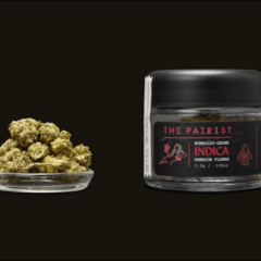 The Pairist | Grape Gas x Horchata 3.5g Indica