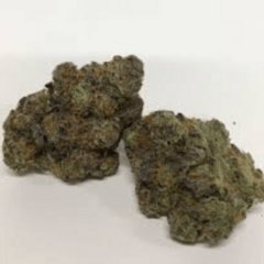 Grape Spodie (H) by Green Man