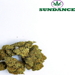 Iced Grapefruit (Sundance Farms)