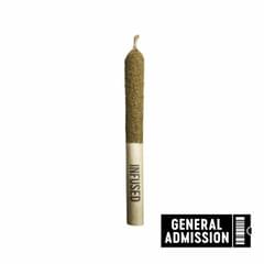 Jungle Fruit Distillate Infused 1 x 1g Pre-Roll (General Admission)