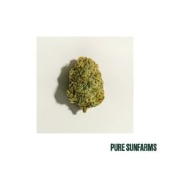 Kush God 28g (Pure Sunfarms)