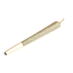 (MED) Choice Labs | Garlic Breath | Pre-Roll |