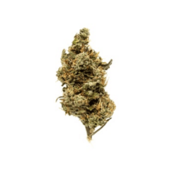 (MED) Redbud Roots | Sour Giesel