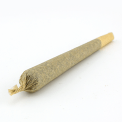 Mimosa Preroll | Sativa