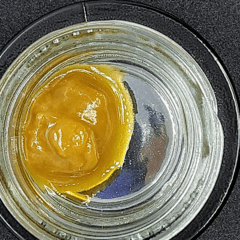 Next 1 Labs Tangidos Live Sugar (h)