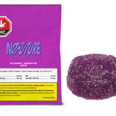 No Future: The Purple One Sativa THC Gummy(10g)(1pc)