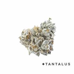 Pure Michigan 7g (Tantalus)
