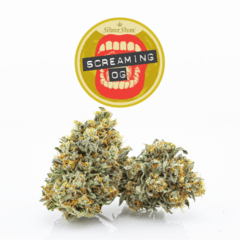 Screaming OG | Indica